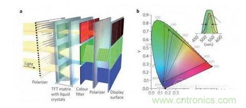  LCD顯示器示意圖。TFT表示薄膜晶體管（thin-film transistor）。