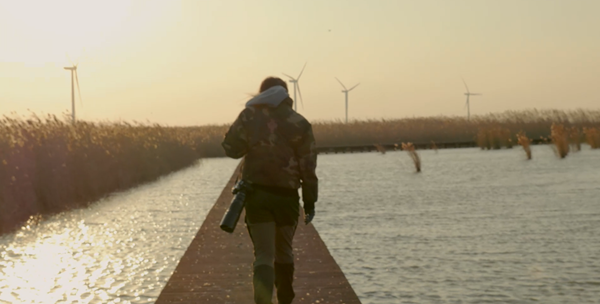 世界濕地日：海康威視攜手一個(gè)地球自然基金會(huì)，在上海守護(hù)這個(gè)重要“驛站”