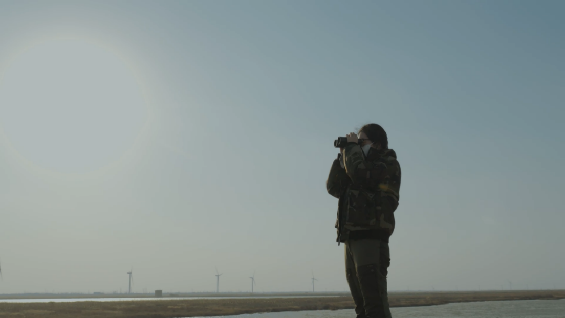 世界濕地日：海康威視攜手一個(gè)地球自然基金會(huì)，在上海守護(hù)這個(gè)重要“驛站”