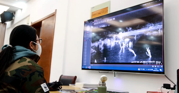 世界濕地日：海康威視攜手一個(gè)地球自然基金會(huì)，在上海守護(hù)這個(gè)重要“驛站”