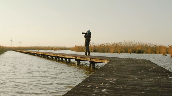 世界濕地日：?？低晹y手一個(gè)地球自然基金會(huì)，在上海守護(hù)這個(gè)重要“驛站”